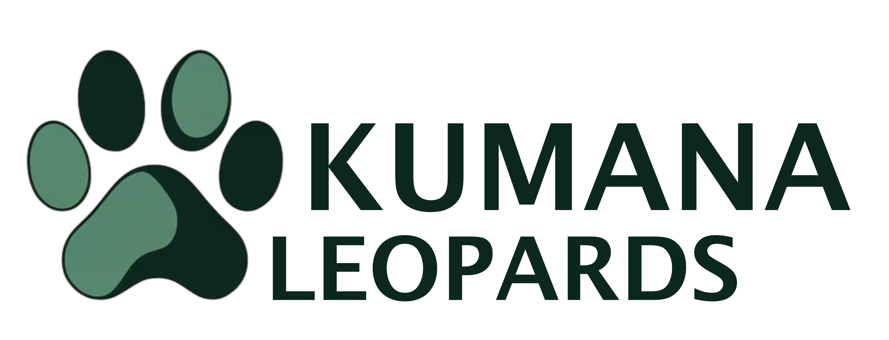Kumana Leopards